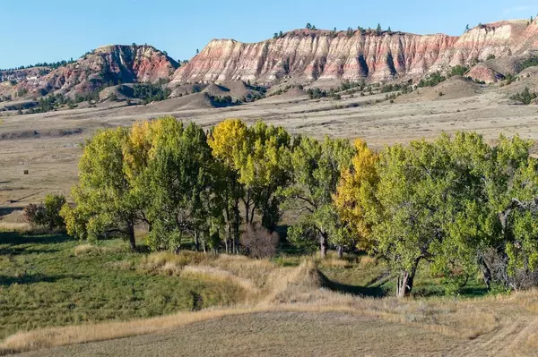 Recluse, WY 82725,979 Bitter Creek RD
