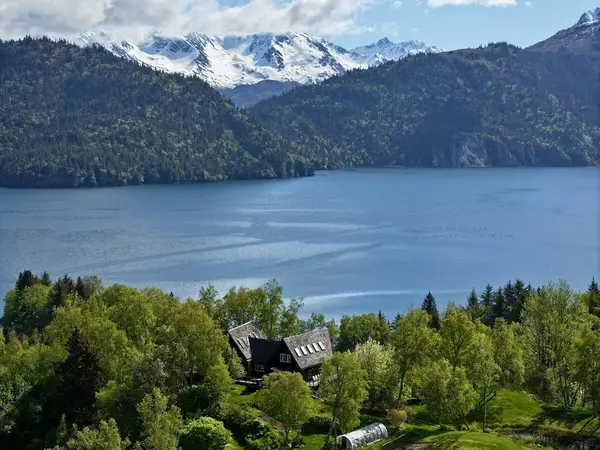 Halibut Cove, AK 99603,46514 Sidelinger TRL