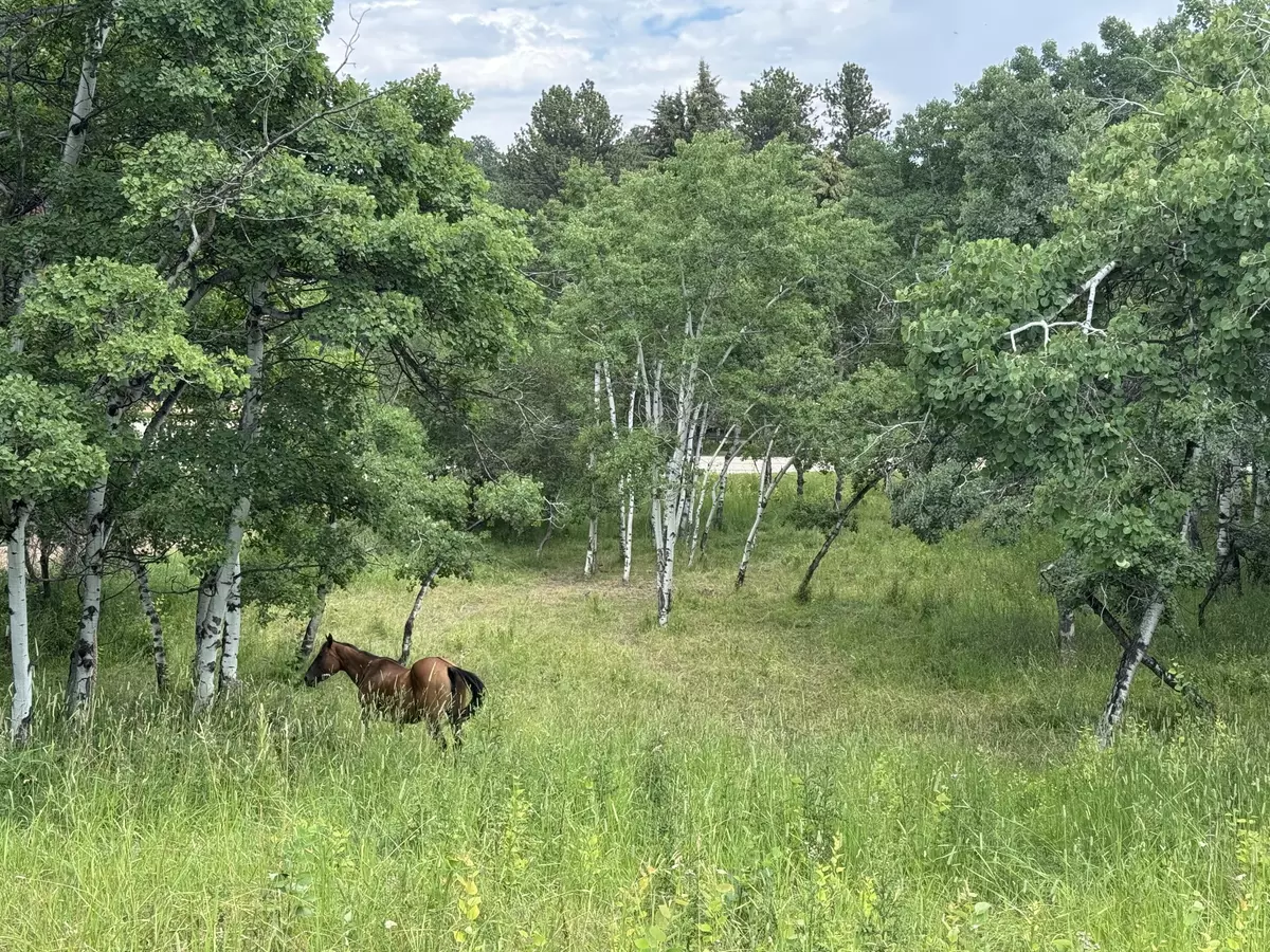 Story, WY 82842,TBD Mountain Home RD
