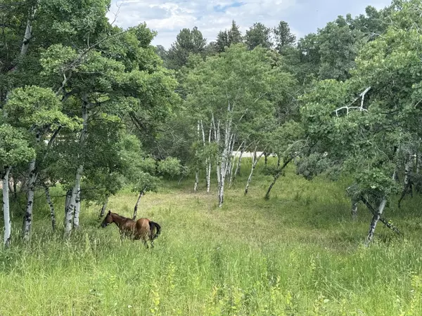TBD Mountain Home RD, Story, WY 82842