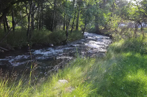 Story, WY 82842,59 Fish Hatchery RD