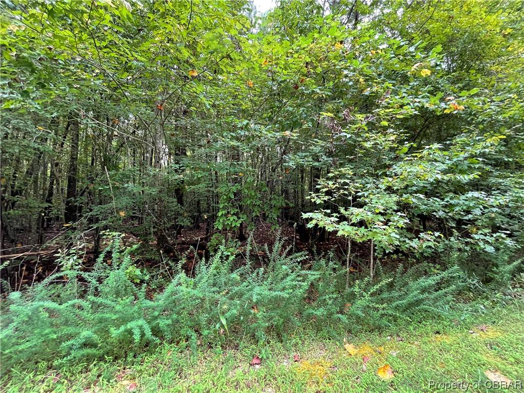 Gloucester, VA 23061,00  10.88 AC Beech Creek RD