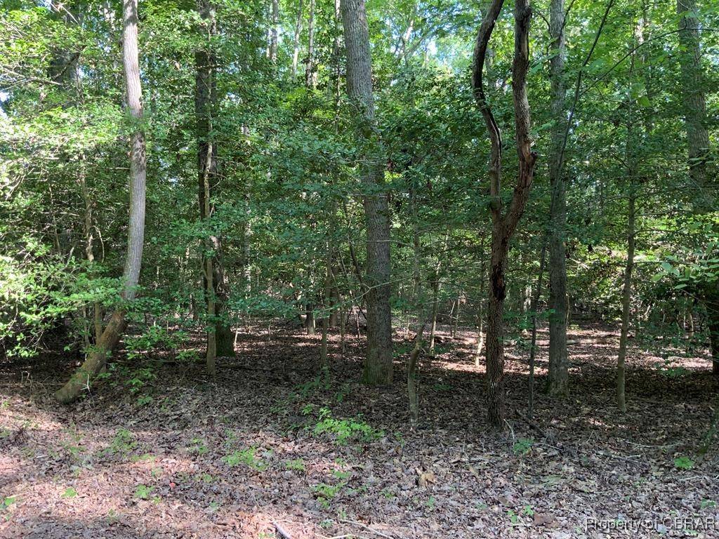 Lot 126 Lonesome Pines, Lancaster, VA 22503