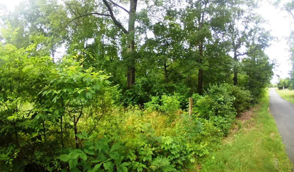 Lot 14 Smelcer RD, Mohawk, TN 37810