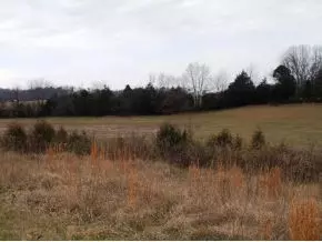 Greeneville, TN 37743,Lot 7 Poplar Springs RD