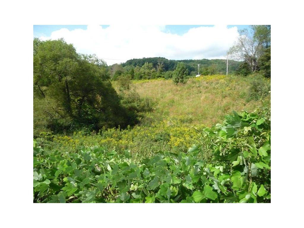 Gate City, VA 24251,Lot 4 Daniel Boone RD