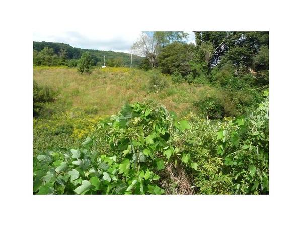 Gate City, VA 24251,Lot 4 Daniel Boone RD