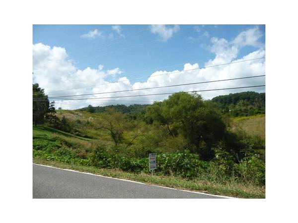 Gate City, VA 24251,Lot 4 Daniel Boone RD