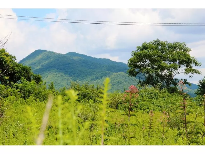 000 Mountain VW, Butler, TN 37640