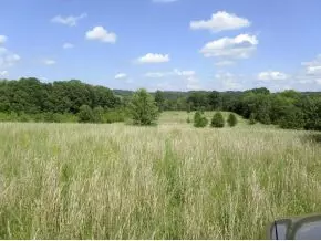 Baneberry, TN 37890,Lot 2 Harrison Ferry RD