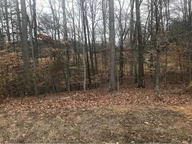 Lot 140 Buckpoint, Church Hill, TN 37642