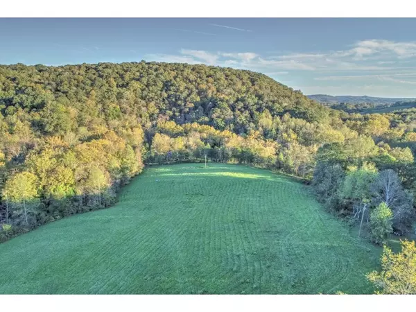 TBD7 Bear Hollow RD, Rogersville, TN 37857