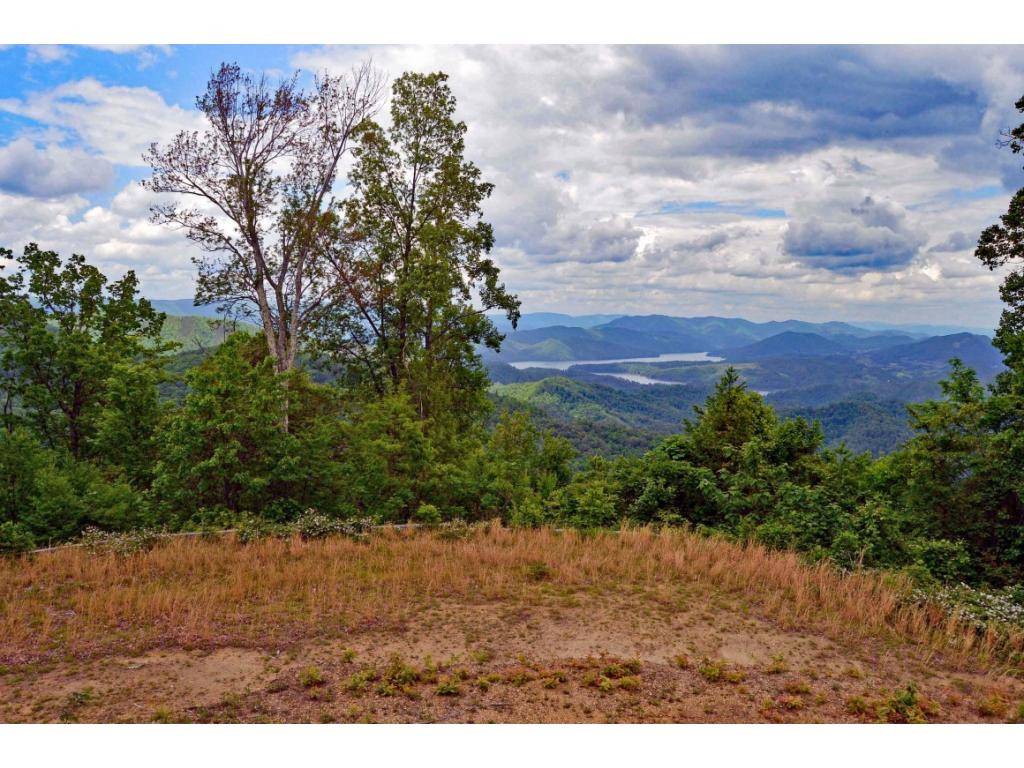1002 Locust LN, Butler, TN 37640
