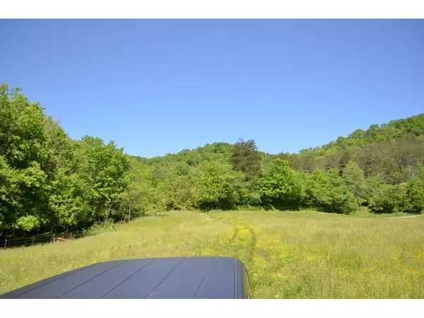 Sneedville, TN 37869,00 Caney Valley RD