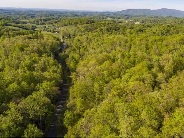 Johnson City, TN 37601,Lot 3 Pfeiffer Ridge RD