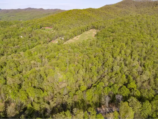 Johnson City, TN 37601,Lot 3 Pfeiffer Ridge RD