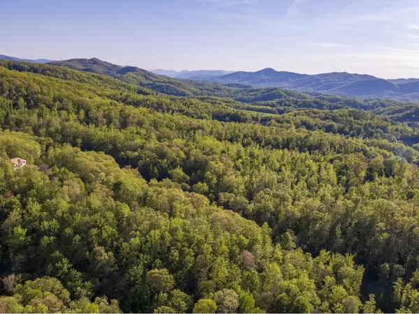 Johnson City, TN 37601,Lot 3 Pfeiffer Ridge RD