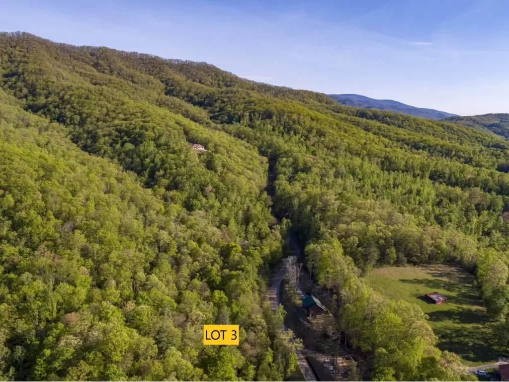 Johnson City, TN 37601,Lot 3 Pfeiffer Ridge RD