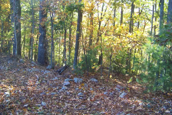 Mountain City, TN 37683,000 Callalantee Drive, Lot #8