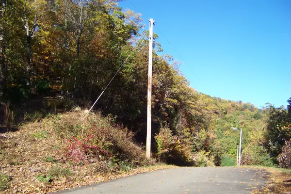 Mountain City, TN 37683,000 Callalantee Drive, Lot #8