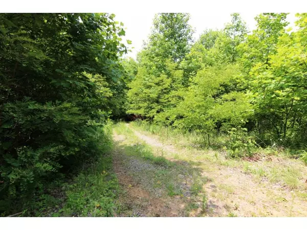 Trade, TN 37691,000 Brushy Fork RD