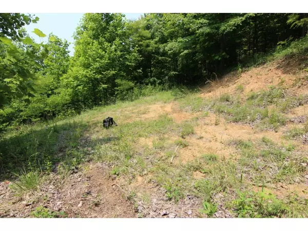 Trade, TN 37691,000 Brushy Fork RD