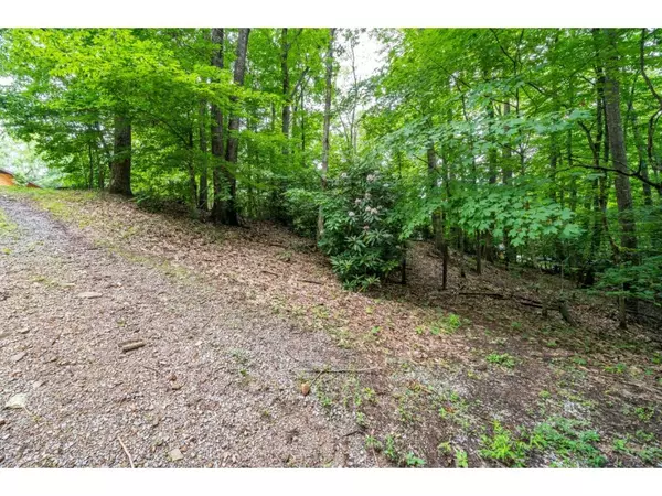 Unicoi, TN 37692,Lot 35 Mountain Laurel CT