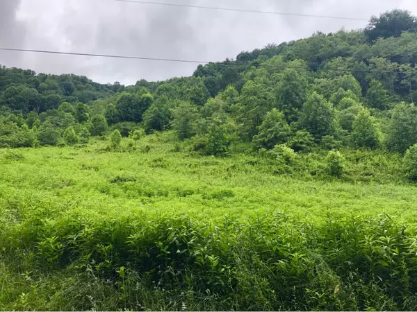 Roan Mountain, TN 37687,TBD Sugar Hollow RD