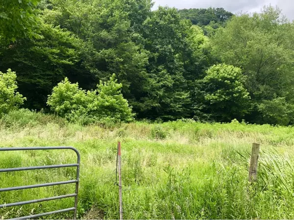 Roan Mountain, TN 37687,TBD Sugar Hollow RD