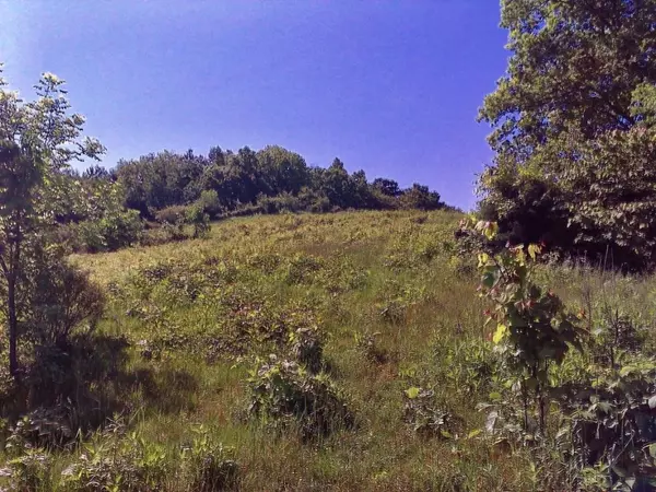 Greeneville, TN 37745,Lot 6 Kingsport HWY