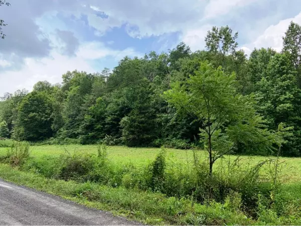 Blackwater, VA 24221,0000 Flanary RD