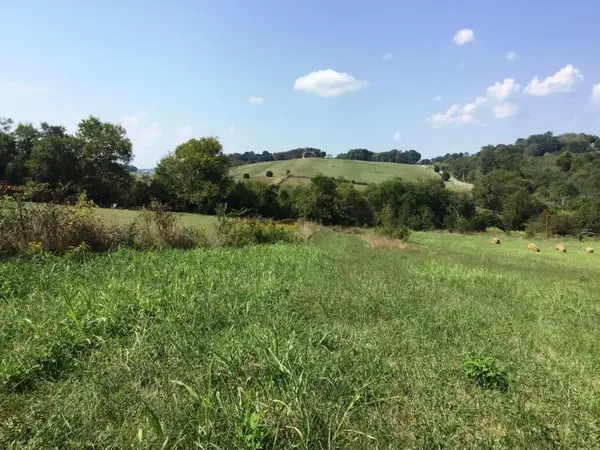 Greeneville, TN 37743,Lot 13 Gregg Mill RD