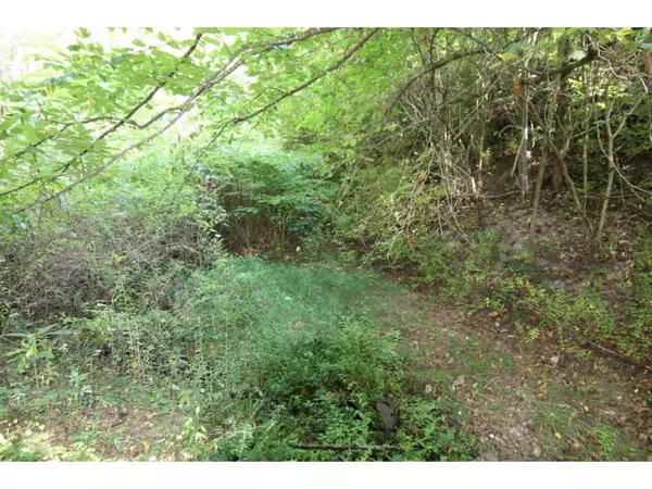 Laurel Bloomery, TN 37680,00 Waters RD