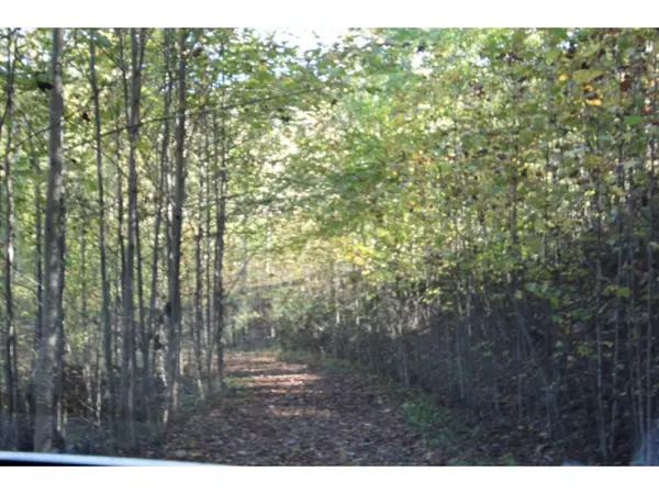 Mountain City, TN 37683,000 Willen Gap RD