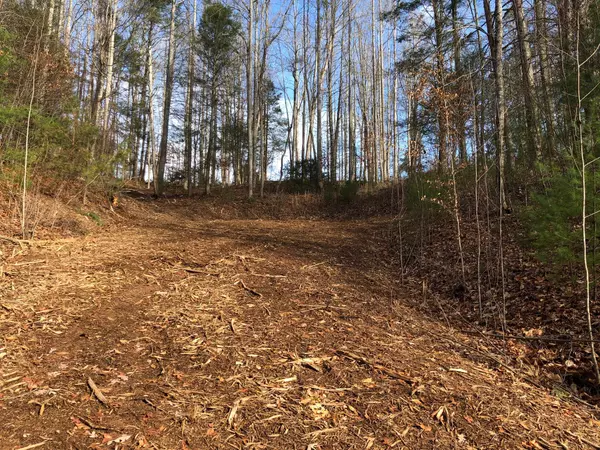 Butler, TN 37640,Lot 1 York Cabin RD