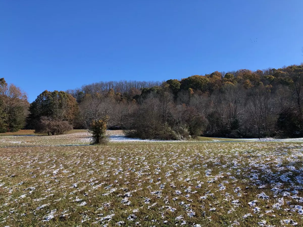 Johnson City, TN 37615,TBD CARROLL CREEK RD