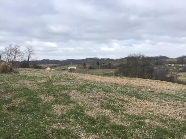 Limestone, TN 37681,Lot 27 Milburnton RD