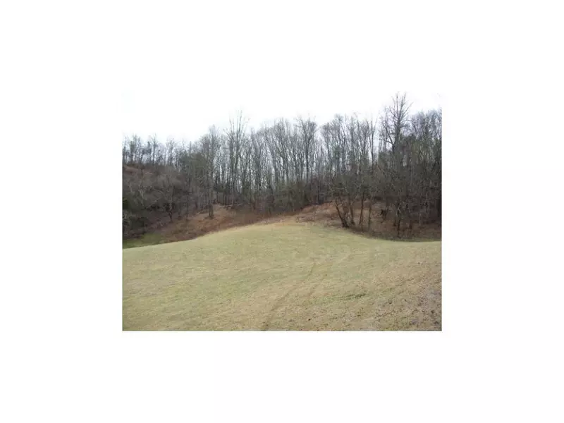 0 Wadlow Gap RD, Gate City, VA 24251