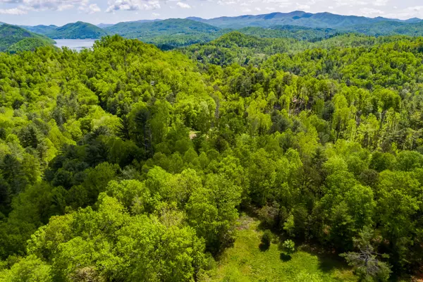 Butler, TN 37640,Lot 9 Canaan RD