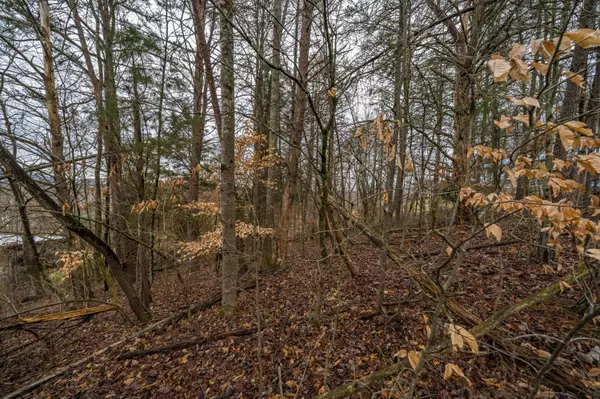 Mount Carmel, TN 37645,Lot 52 Seven Oaks Drive