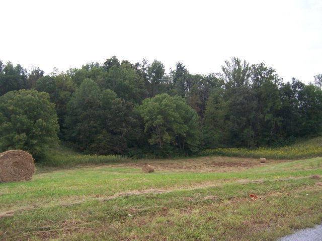 Abingdon, VA 24211,0 Lake Bend Court, Lot 22