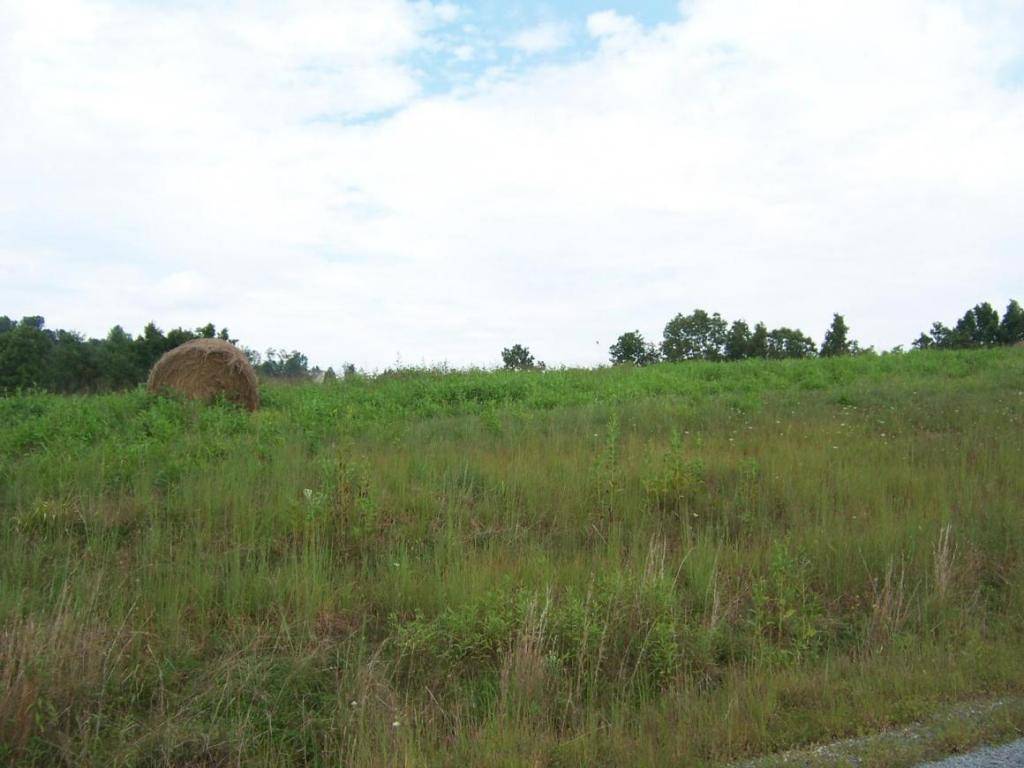 Abingdon, VA 24211,0 Lake Bend Court, Lot 30