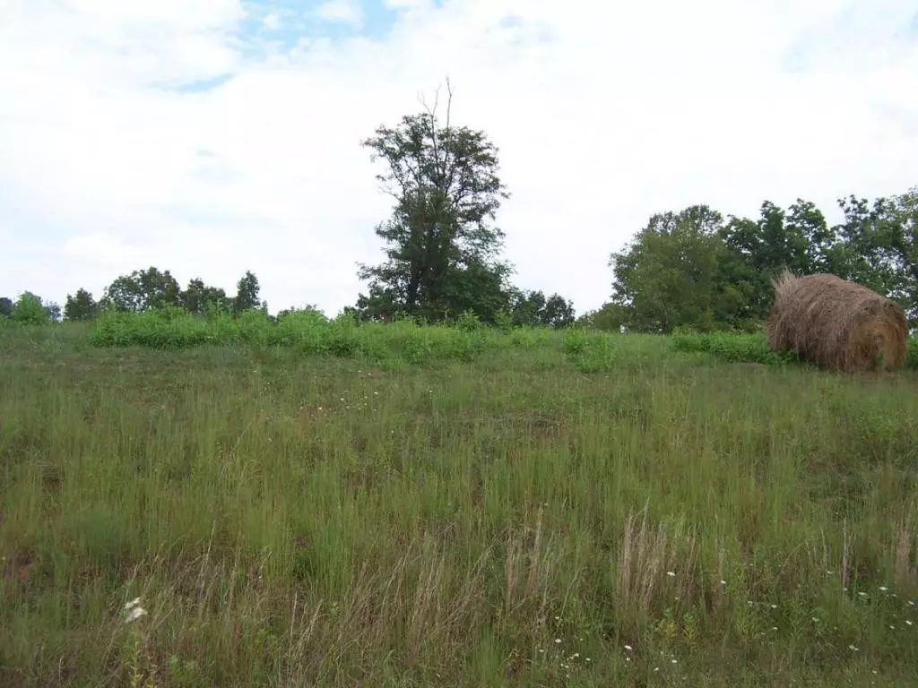 Abingdon, VA 24211,0 Lake Bend Court, Lot 31