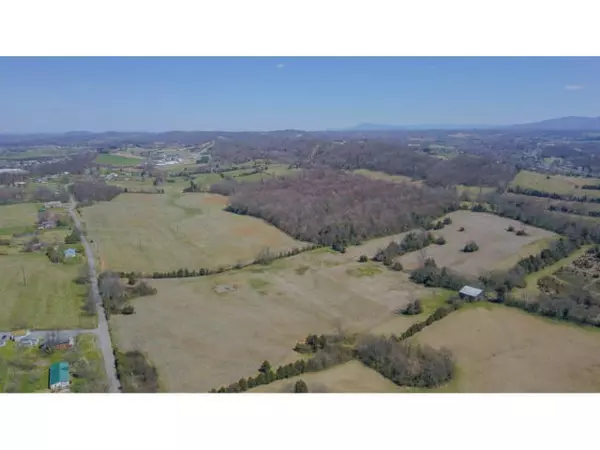 Telford, TN 37690,Tbd Paynetown Rd