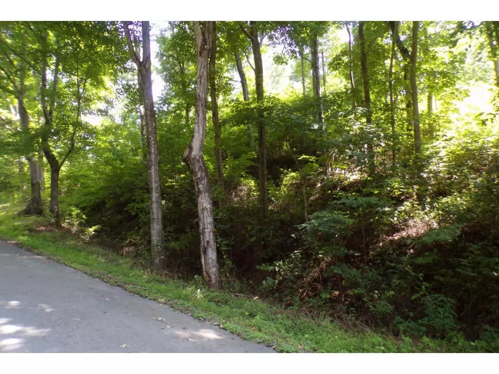 Mountain City, TN 37683,Tbd Buffalo Run Lot 1-A