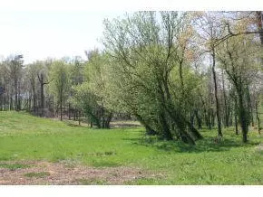 Chuckey, TN 37641,Lot 1 Treadway Road