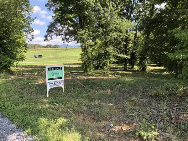 Chuckey, TN 37641,Lot 1 Treadway Road