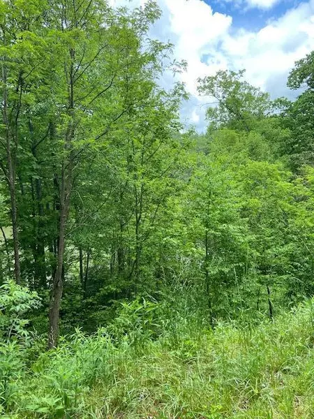 Tbd Mountain Wynd DR, Butler, TN 37640