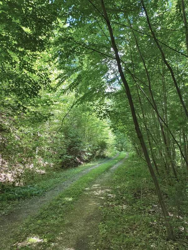 Del Rio, TN 37727,0 Honey LN