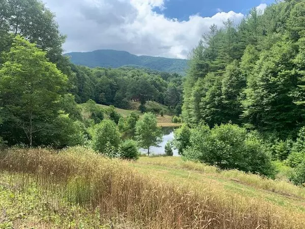 Roan Mountain, TN 37687,00 Captain Nelson RD